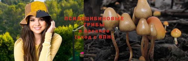 дурь Вяземский