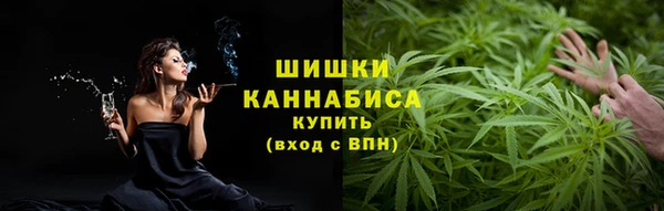 молекула духа Снежногорск